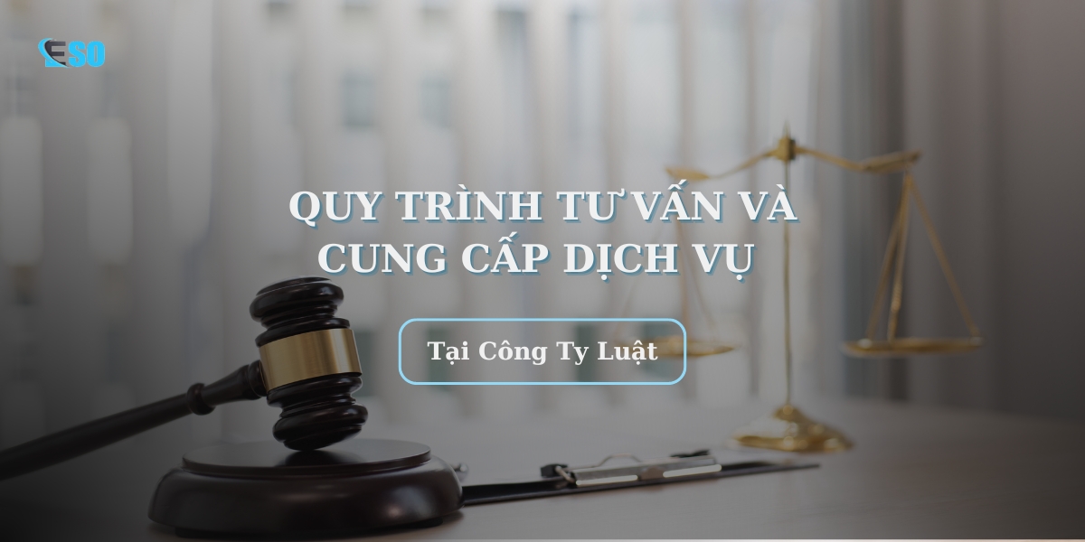 quy trinh tv